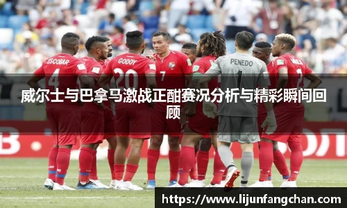 威尔士与巴拿马激战正酣赛况分析与精彩瞬间回顾