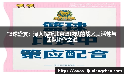 篮球盛宴：深入解析北京篮球队的战术灵活性与团队协作之道